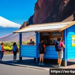 화산 지역 탐방의 비용 절감 팁 - A vibrant scene of a diverse group of young travelers sharing a rental car in front of the Teide Nat...